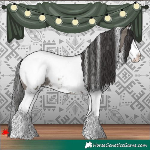 Horse Color:White Spotted Grullo Splash Snowcap Rabicano 