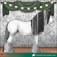 Horse Color:White Spotted Grullo Splash Appaloosa Rabicano 