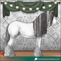 Horse Color:White Spotted Grullo Splash Appaloosa Rabicano