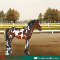 Horse Color:White Spotted Brown 