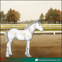 Horse Color:White Spotted Smoky Creme Dun Splash 