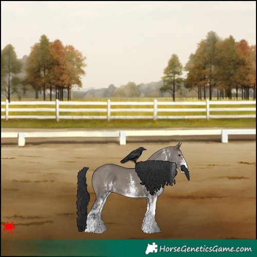 Horse Color:White Spotted Grullo 
