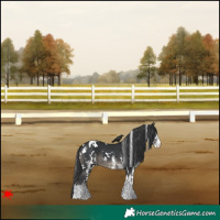 Horse Color:White Spotted Black 