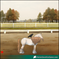 Horse Color:Red Dun Roan Appaloosa Rabicano 