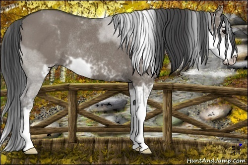 Horse Color:Grullo Sabino Rabicano