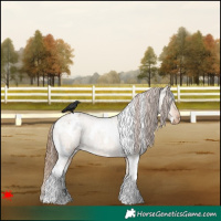 Horse Color:White Spotted Bay Roan Dun Varnish