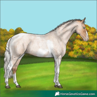 Horse Color:Silver Blue Roan Pearl Tobiano Frame 