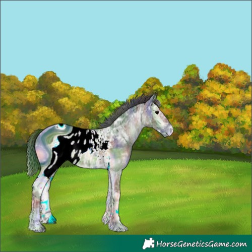 Horse Color:ERROR: UNKNOWN ANOMALY