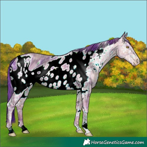 Horse Color:ERROR: UNKNOWN ANOMALY