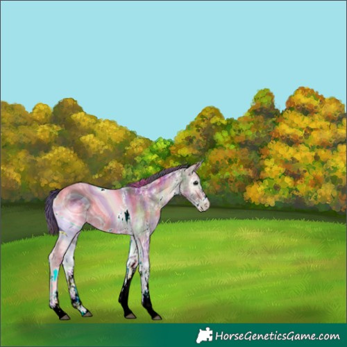 Horse Color:ERROR: UNKNOWN ANOMALY