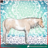 Horse Color:Silver Blue Roan Pearl Tobiano Frame 