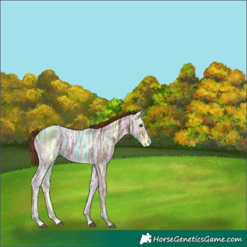 Horse Color:Chestnut Ice 