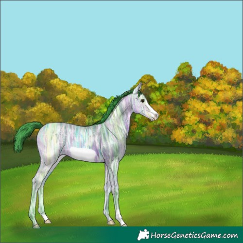 Horse Color:Watercolor Bay Ice Frame