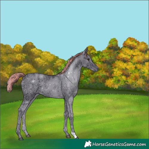 Horse Color:Watercolor Liver Chestnut Ice 