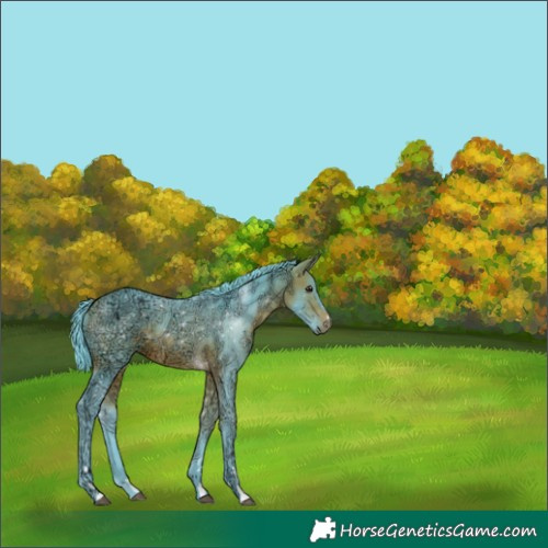 Horse Color:Watercolor Bay Ice 
