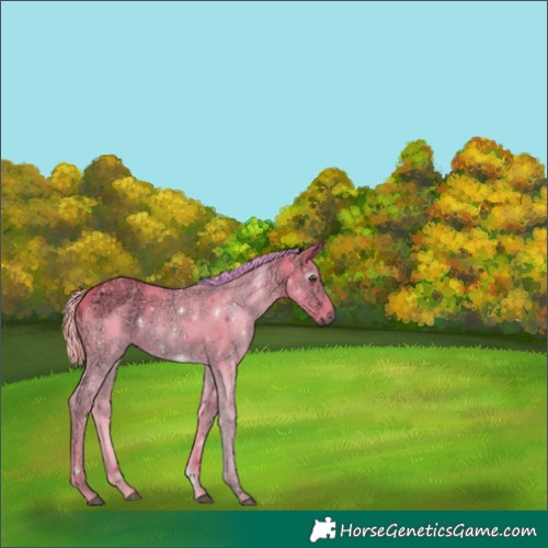 Horse Color:Gray Watercolor Liver Chestnut Ice 