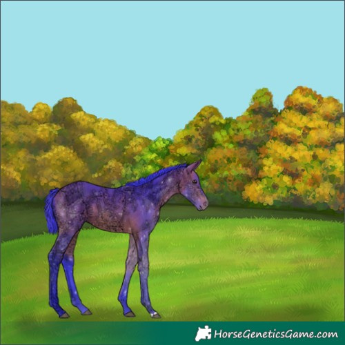 Horse Color:Watercolor Bay Ice