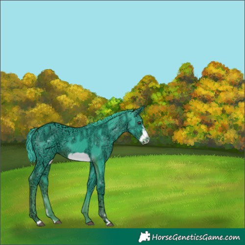 Horse Color:Watercolor Liver Chestnut Ice Frame
