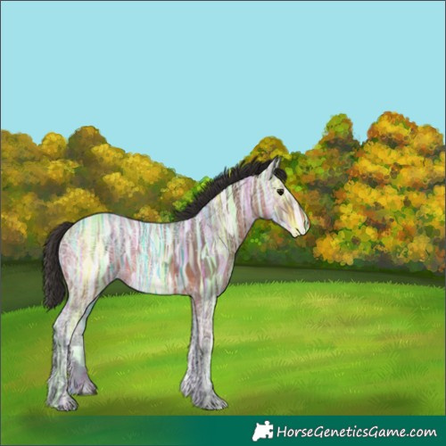 Horse Color:Bay Ice 