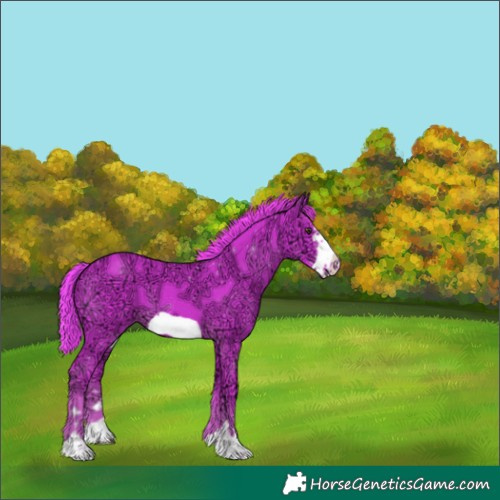 Horse Color:Watercolor Liver Chestnut Ice Frame