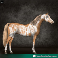 Horse Color:Chestnut and Chestnut Frame