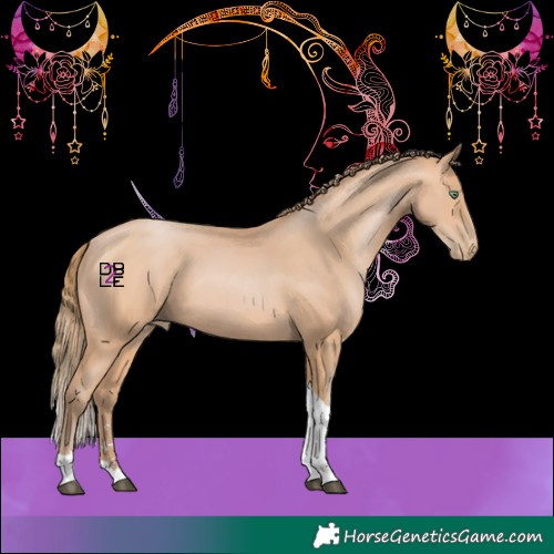 Horse Color:Bay Pearl Mushroom Sabino Tobiano 