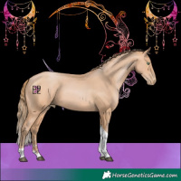 Horse Color:Bay Pearl Mushroom Sabino Tobiano