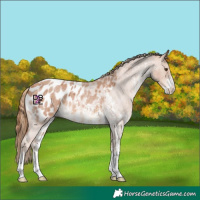 Horse Color:Red Roan Sabino Blanket