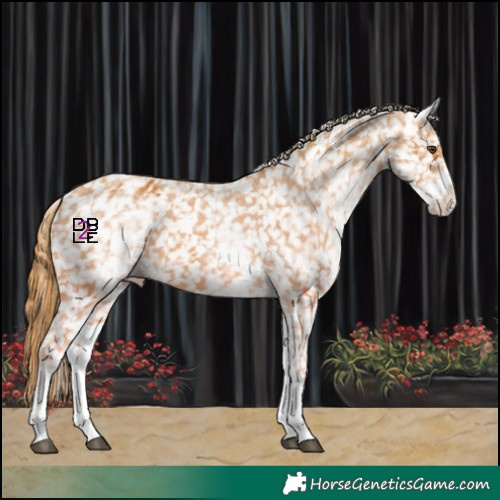 Horse Color:White Spotted Chestnut Snowflake Varnish 