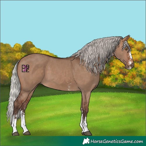 Horse Color:Silver Brown Dun Sabino 