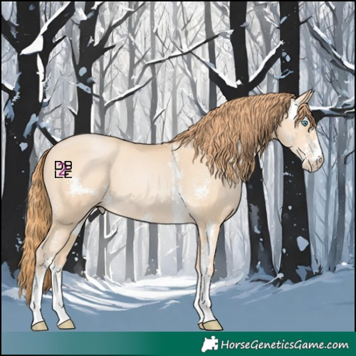 Horse Color:Buckskin Pearl Sabino 