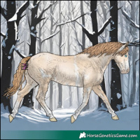 Horse Color:Buckskin Pearl Sabino