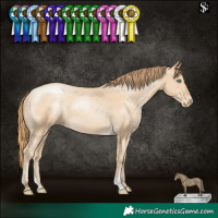 Horse Color:Smoky Black Pearl Varnish 