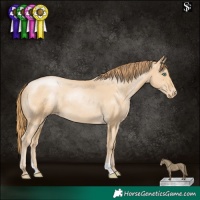 Horse Color:Smoky Black Pearl Appaloosa 