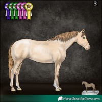 Horse Color:Smoky Black Pearl Appaloosa