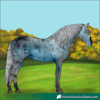 Horse Color:ERROR: UNKNOWN ANOMALY