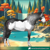 Horse Color:Gray Brown Frame 