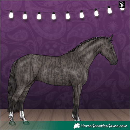 Horse Color:Smoky Black  and Smoky Grullo 