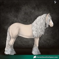Horse Color:Cremello 