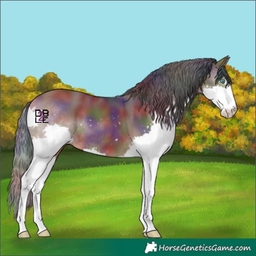 Horse Color:Nacre Bay Splash 
