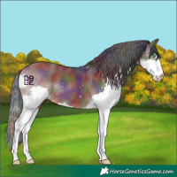Horse Color:Nacre Bay Splash 