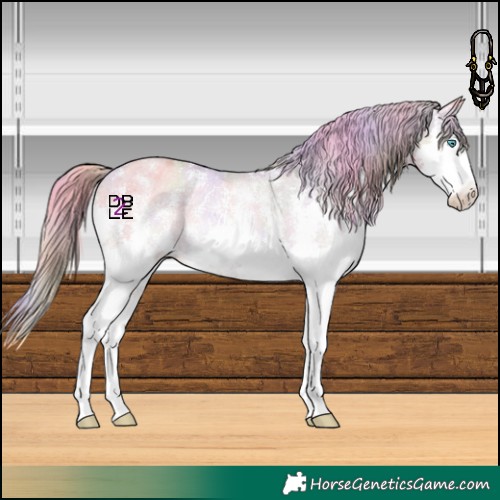 Horse Color:Nacre Watercolor Gold Champagne Sabino Splash Appaloosa 