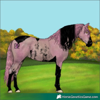 Horse Color:Void Watercolor Gold Champagne Sabino Tobiano 