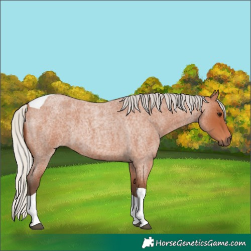 Horse Color:Silver Bay Roan Tobiano 