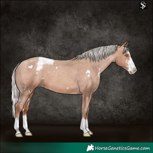Horse Color:White Spotted Silver Sable Champagne Sabino Splash Varnish 