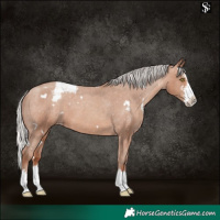 Horse Color:White Spotted Silver Sable Champagne Sabino Splash Varnish 
