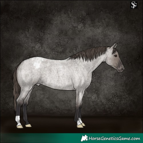 Horse Color:Smoky Grullo Roan Varnish 