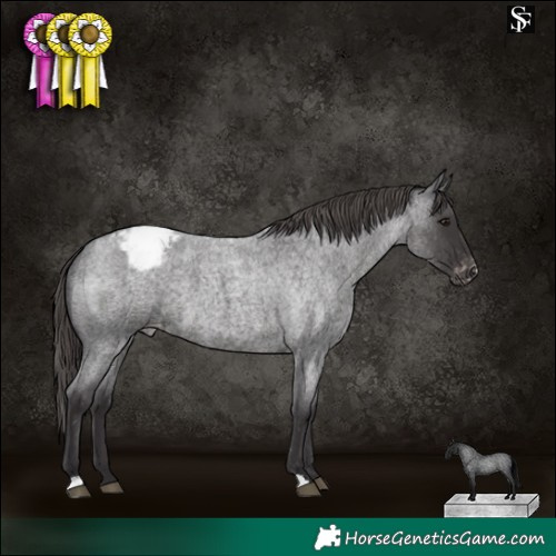 Horse Color:Smoky Blue Roan Varnish 