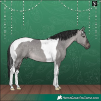 Horse Color:Platinum Brown Dun Tobiano 