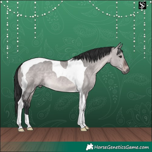 Horse Color:Platinum Brown Dun Tobiano 